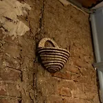 Easy By Interior - Bahnhof, Zentral, Modern, Parkplatz Extra شقة كاسيل